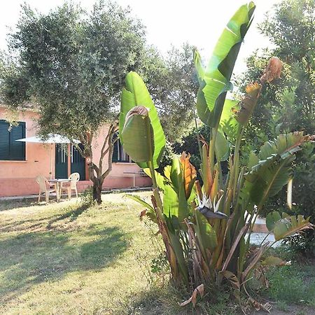 Terracorse Villa Figari  Dış mekan fotoğraf
