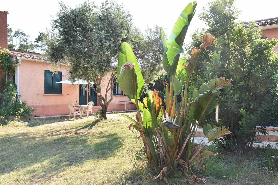 Terracorse Villa Figari  Dış mekan fotoğraf