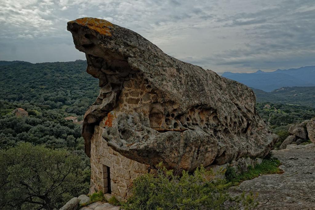 Terracorse Villa Figari  Dış mekan fotoğraf
